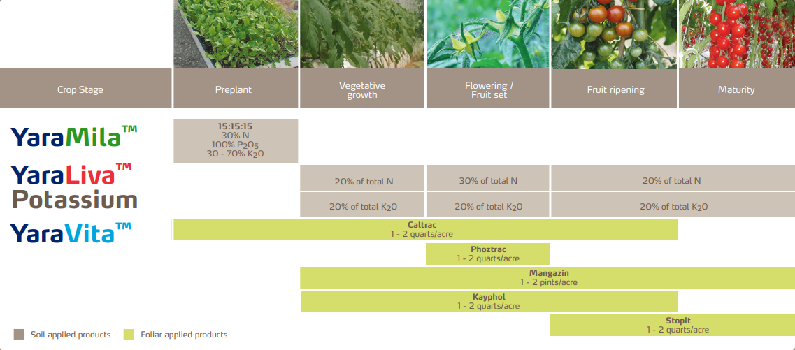 Tomato Crop Fertilizer Program Yara United States