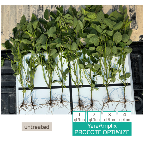 procote optimize on soybeans