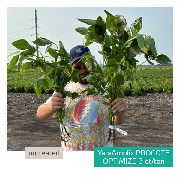 procote optimize in soybeans