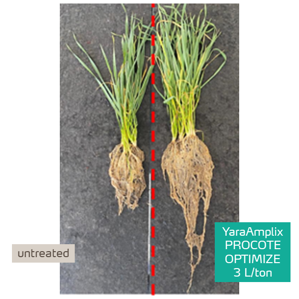 procote optimize treated plant versus untreated