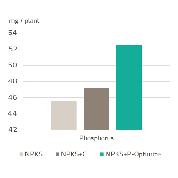 yaraamplix procote optimize phosphorus 