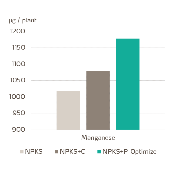 yaraamplix procote optimize effect on manganese accumulation