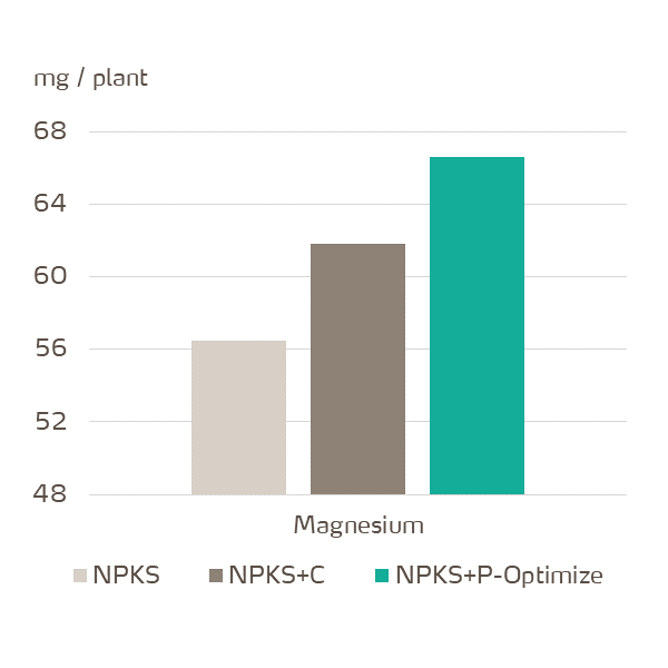 yaraamplix procote optimize effect on magnesium accumulation