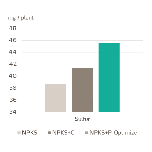 yaraamplix procote optimize effect on sulfur accumulation