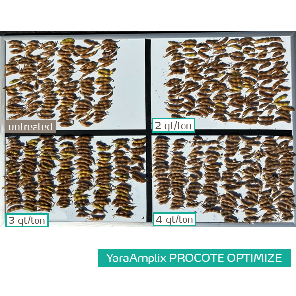 procote optimize on soybeans